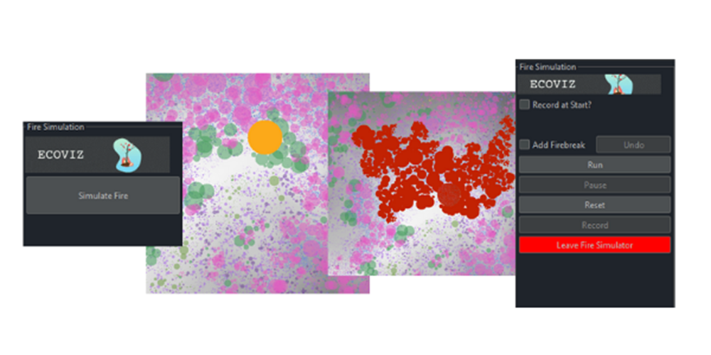 Screenshot of the fire simulation in the biomodelling application.